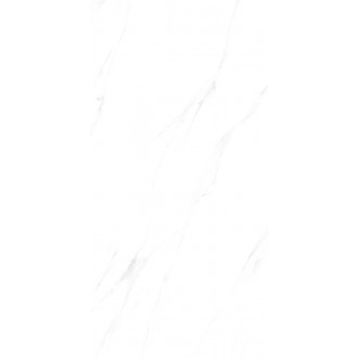 MT12101 Керамогранит Глянец 60x120