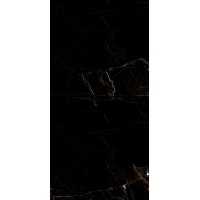 Marble Tropic Black 120x60