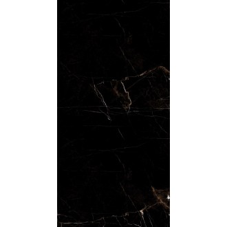 Marble Tropic Black 120x60