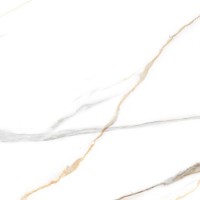 Maritaca Statuario Glossy 60x60