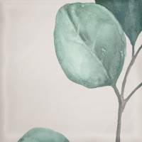 Mate Decor Greens 15x15