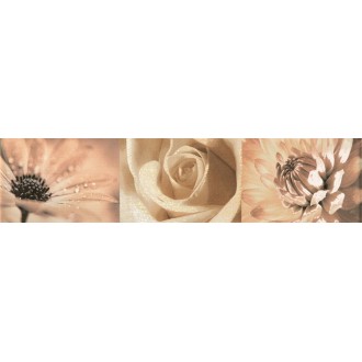 Maxima Brown 2 44,8x10