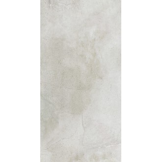 Maxstone Silver Mat 60x120