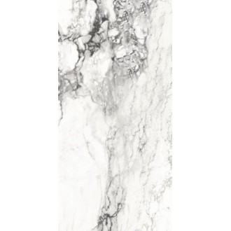 Medicea Marble Pol 60x120