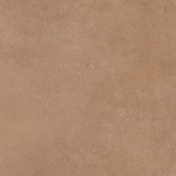 Керамогранит Mediterranea Coral PW R 60x60