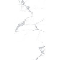 Megnus Statuario 60x120