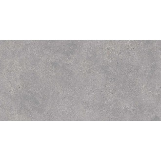 Memory Gris Matt 60x120
