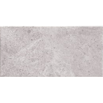 Menfis Grey 10x20