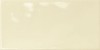 Milenium Beige 10x20