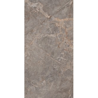 Miltonia Grey 60x120