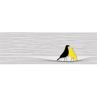 Miskito 25x75
