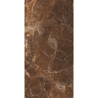 Mistero Brown High Gloss 60x120