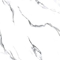 Molly white 60x60