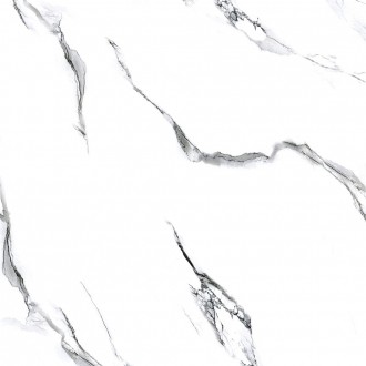 Molly white 60x60