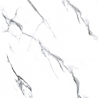 Molly white str 60x60