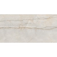 Monro Grey серый 60x120