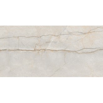 Monro Grey серый 60x120