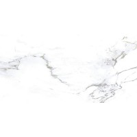 Monster White 60x120