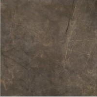 Montecoto Marron brillo 60,8x60,8