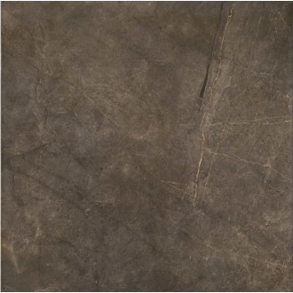 Montecoto Marron brillo 60,8x60,8