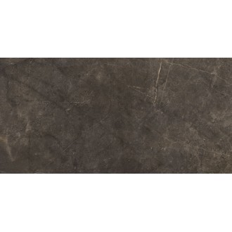 Montecoto Marron brillo 60x120