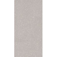 Moondust Silver Mat 59.8x119.8