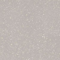 Moondust Silver Polpoler 59.8x59.8
