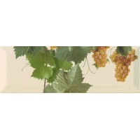 Moscatel crema 2 10x30