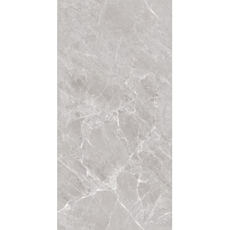 Mramor Chic Silver Серый Полированный 60х120