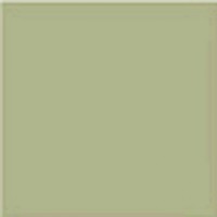 Musgo g.127 20x20