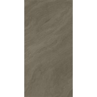 Mushroom Full Body Matt 60x120