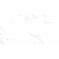 N12003 Керамогранит Venus Bianco Polished 60x120