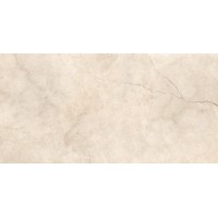 N12027 Fushion Beige Polished 60x120