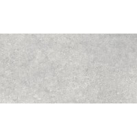 N12031 Sandstone Gris Matt 60х120
