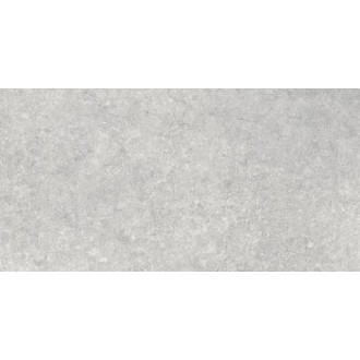 N12031 Sandstone Gris Matt 60х120