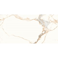 N20320 Керамогранит Statuario Gold Fusion 60x120