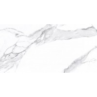 N20326 Calacatta Classico Polished 60x120