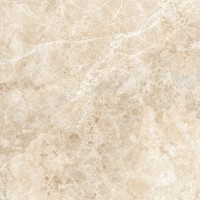 N20365 Emperador Beige Satin 60x60