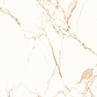 N20392 Statuario Gold Polished 80x80