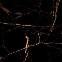 N20401 Austral Gold Polished 60x60