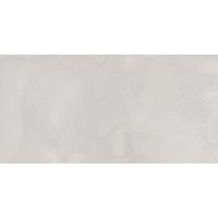 N20407 Aspen Snow Fusion 60x120