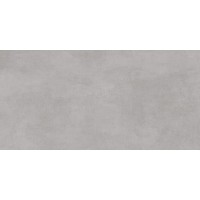 N20409 Ibiza Silver Fusion 60x120