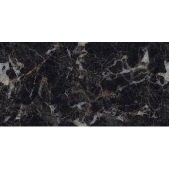 N20451 Керамогранит Nero Picasso Polished 60x120