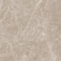 N20462 Керамогранит Frappuccino Taupe Polished 120x120