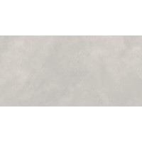 N20478 Керамогранит Newport Gris Matt 60x120