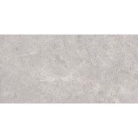N20488 Керамогранит Tokyo Grey Polished 80x160