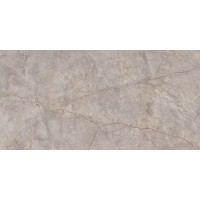 N20501 Керамогранит Silver River Carving 80x160