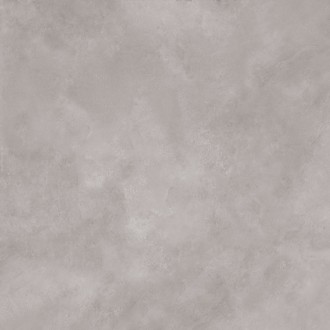N20512 Керамогранит Newport Grey Matt 120x120
