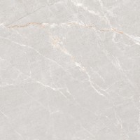 N20516 Керамогранит Persian Grey Matt 120x120