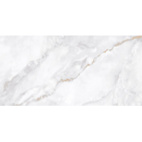 N20538 Керамогранит Ornato Wave Carving 60x120